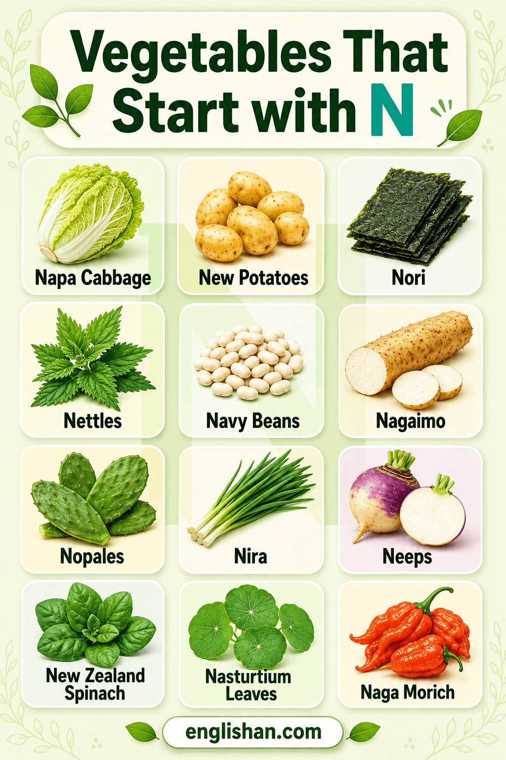 Vegetables that start with N with pictures and names including napa cabbage, nopales, and new potato