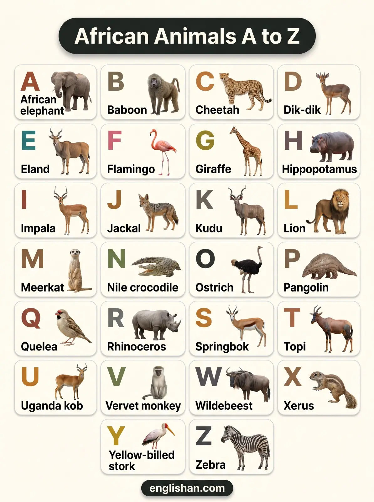 African animals names A to Z featuring aardvark, giraffe, lion, elephant, and zebra