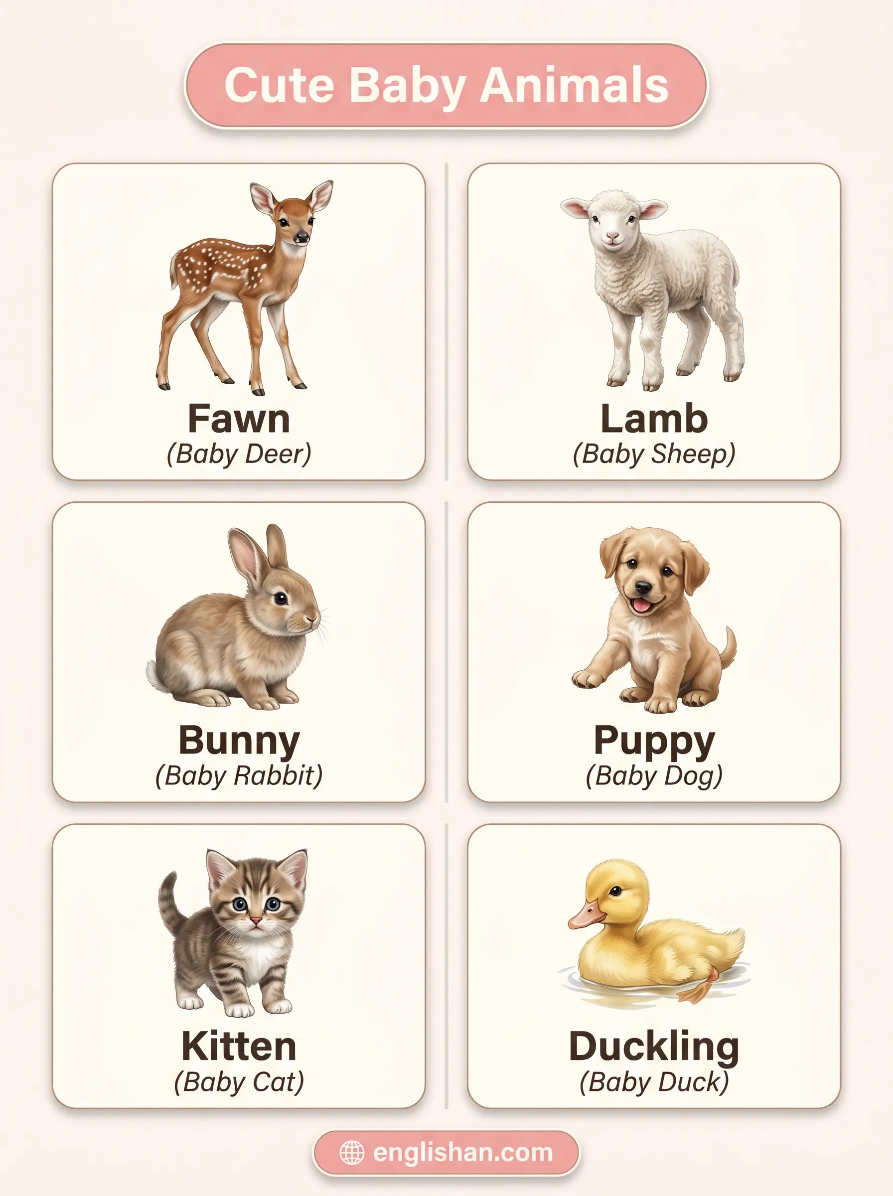 Cute baby animal names including lion cub, deer fawn, elephant calf, bear cub, duckling, chick, puppy, and kitten in natural settings