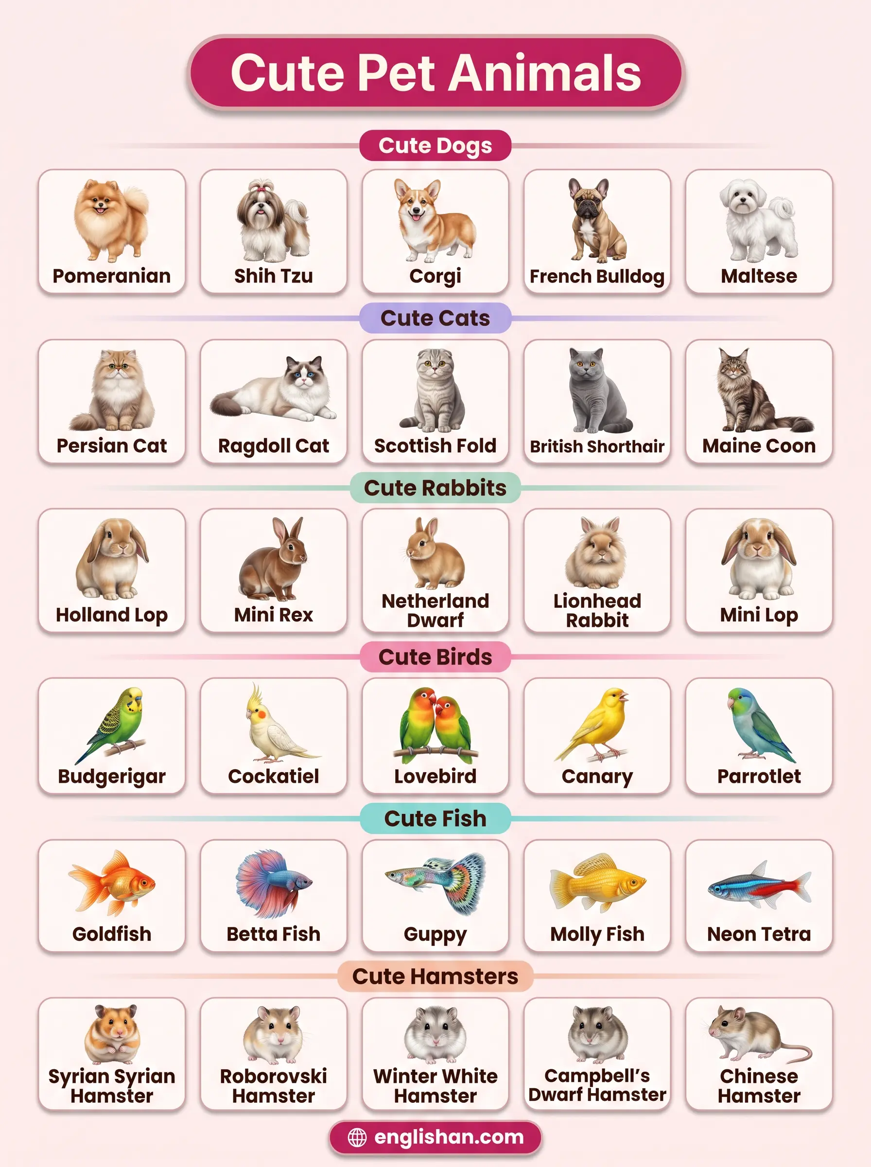 Cute pet animals including cat, dog, rabbit, hamster, guinea pig, parrot, fish, and turtle in domestic companion settings