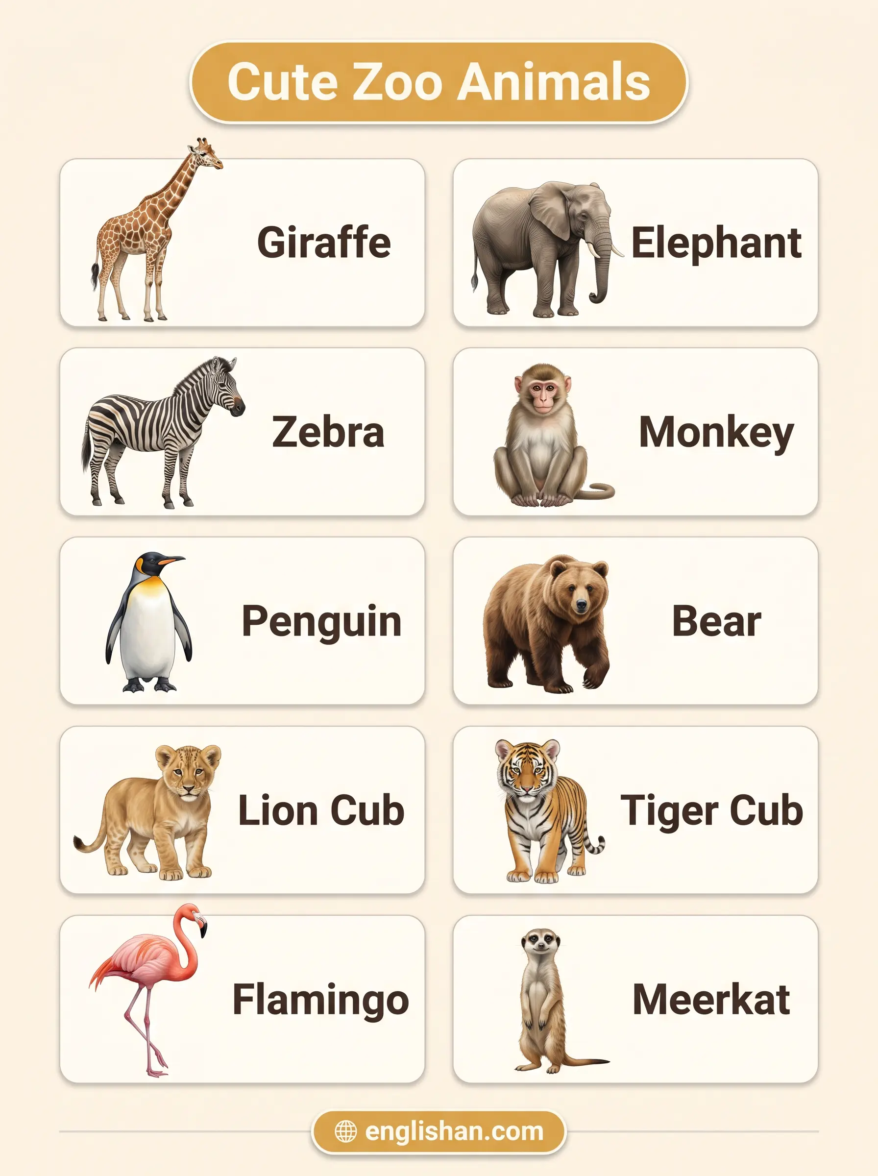 Cute zoo animals including panda, koala, giraffe, zebra, penguin, elephant, red panda, and lion cub in zoo habitats