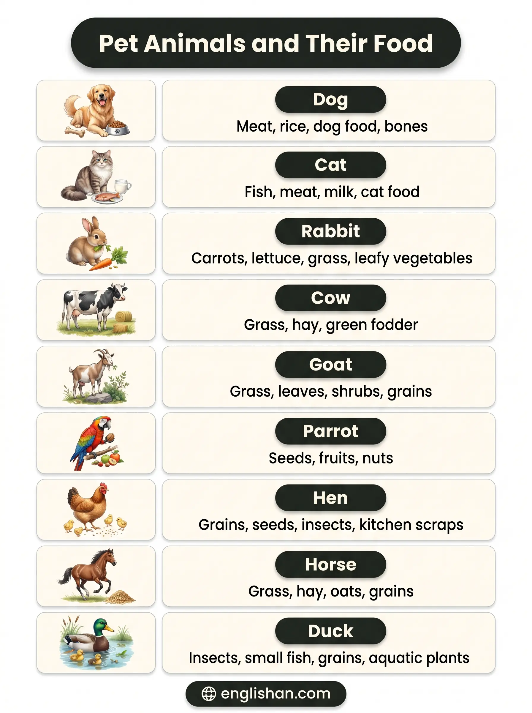 Pet animals and their food including dog, cat, rabbit, hamster, and parrot