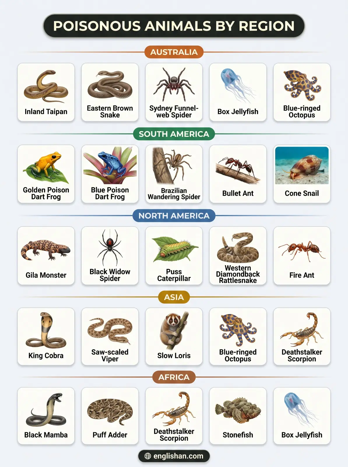 Poisonous animals by region showing box jellyfish, king cobra, and golden poison dart frog across different habitats