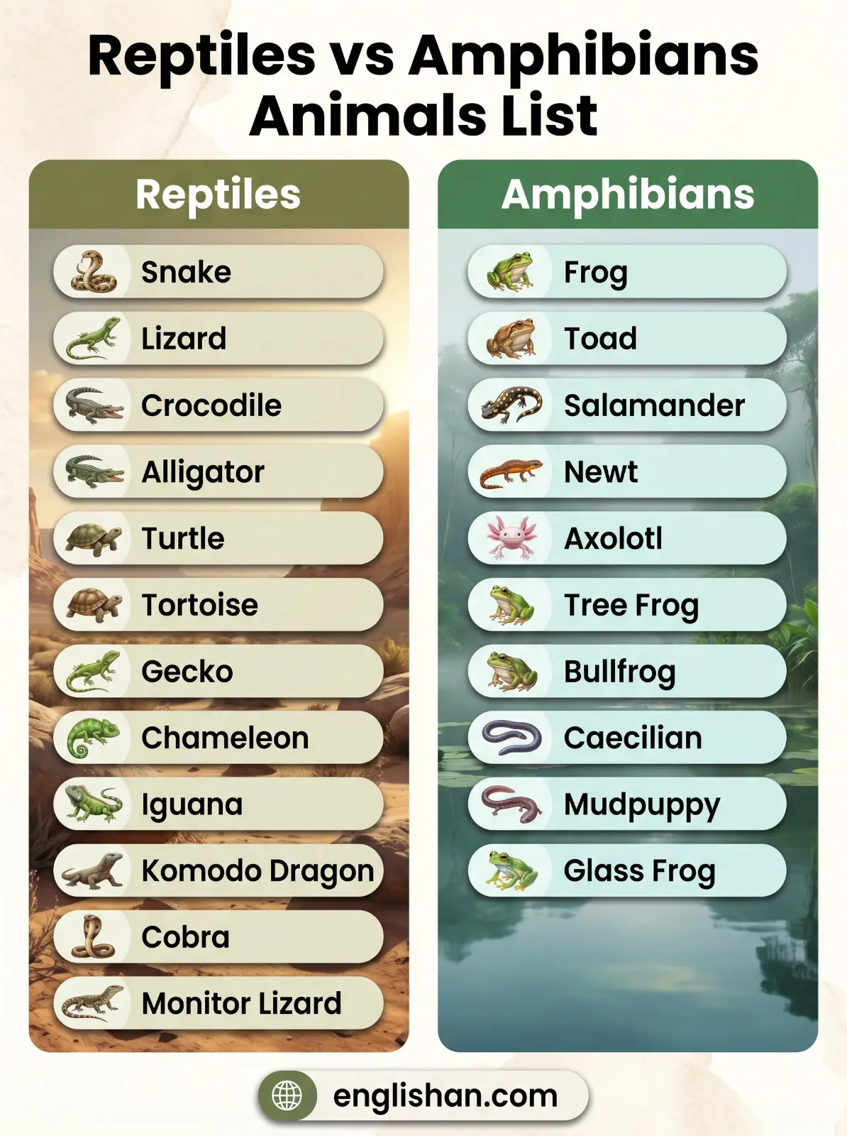 Reptiles vs amphibians animals list showing snake frog crocodile salamander turtle toad alligator axolotl with names