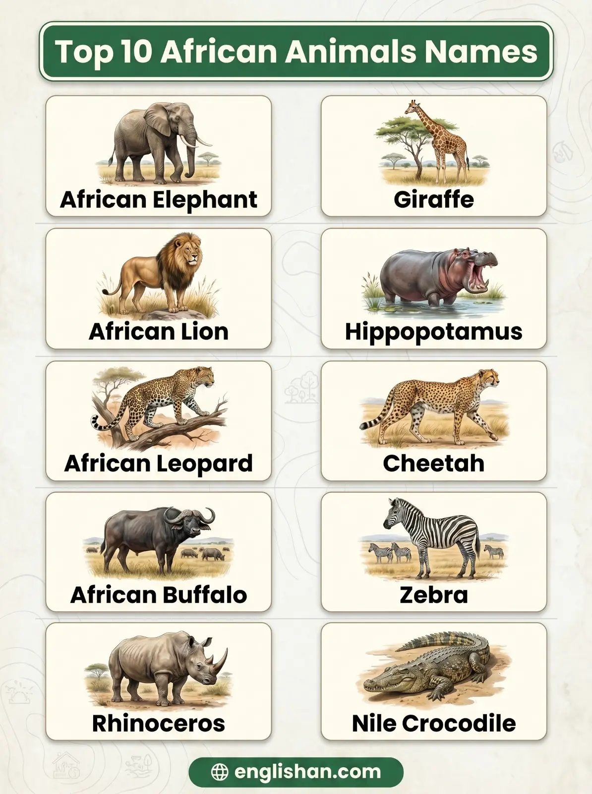 Top 10 African animals names featuring lion, elephant, giraffe, zebra, and rhinoceros