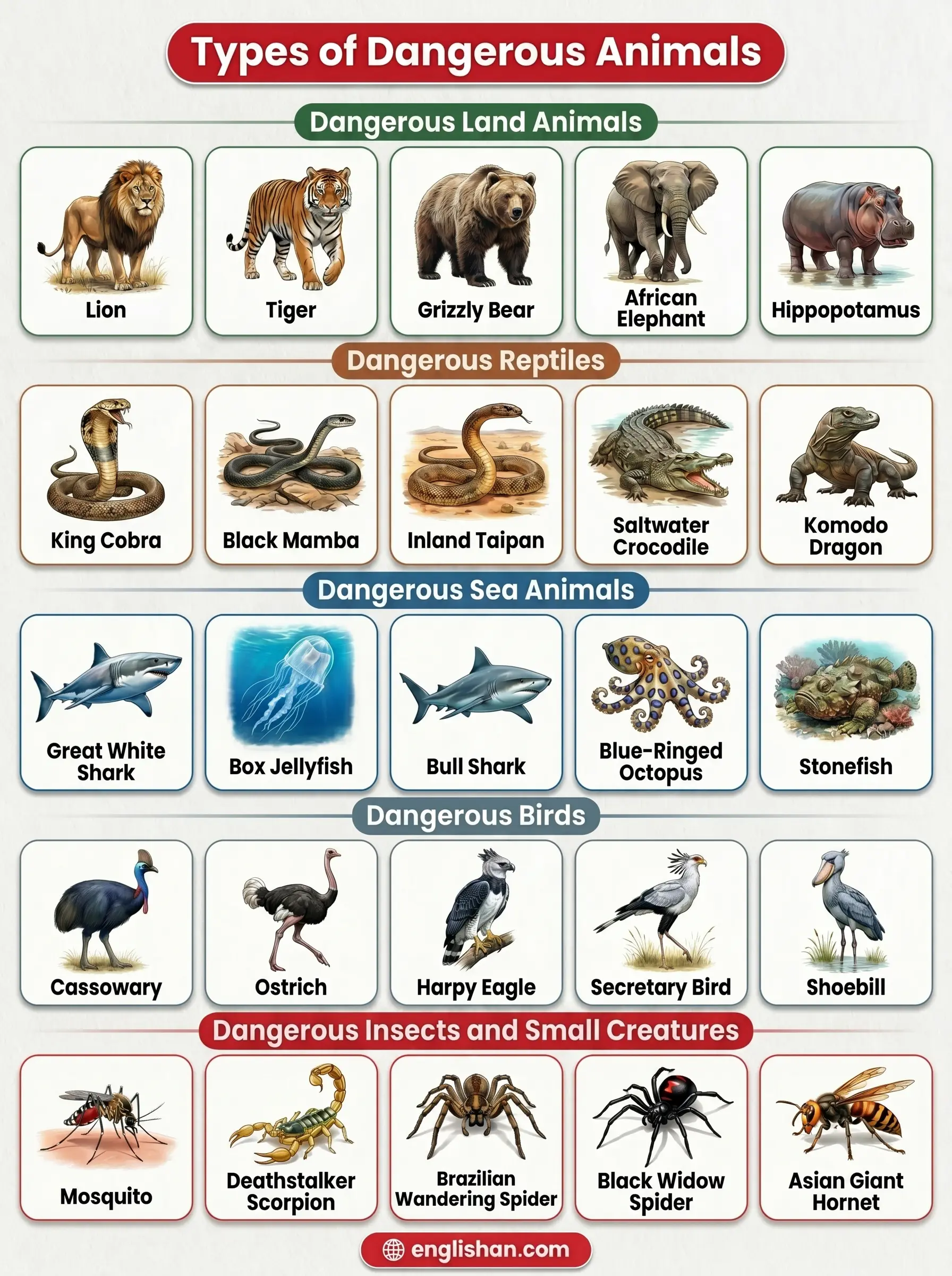 Types of dangerous animals names including lion, tiger, shark, king cobra, and saltwater crocodile species