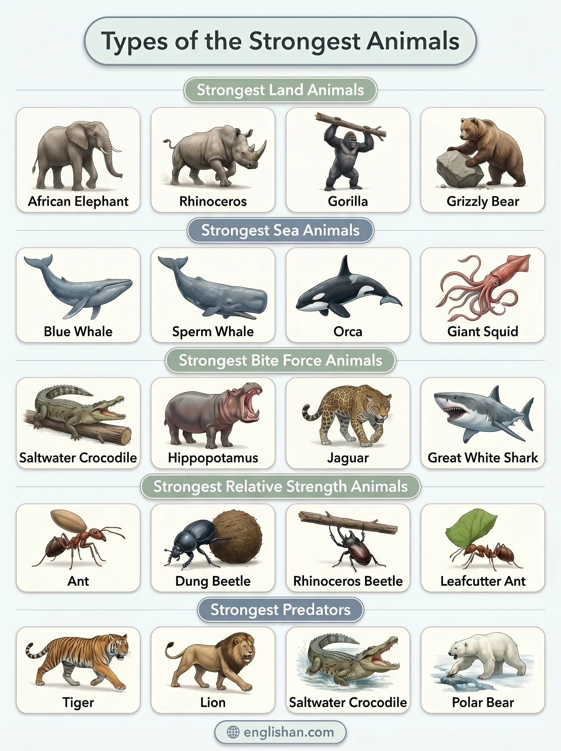 Types of strongest animals by category showing African elephant, blue whale, saltwater crocodile, grizzly bear strength differences