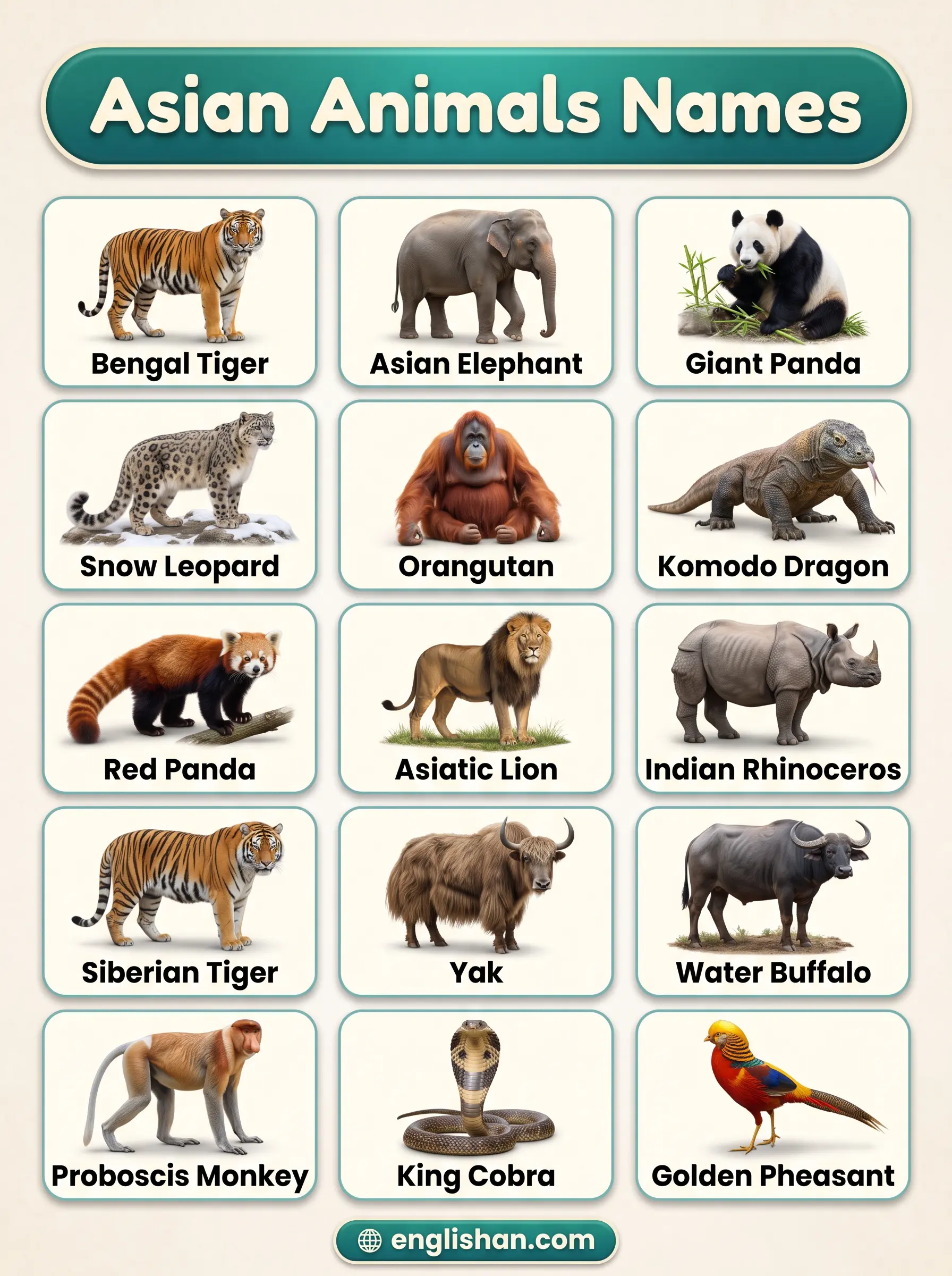 Asian animals names with pictures featuring Bengal tiger, Asian elephant, giant panda, and snow leopard