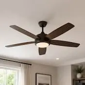 Ceiling fan