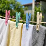Clothes peg