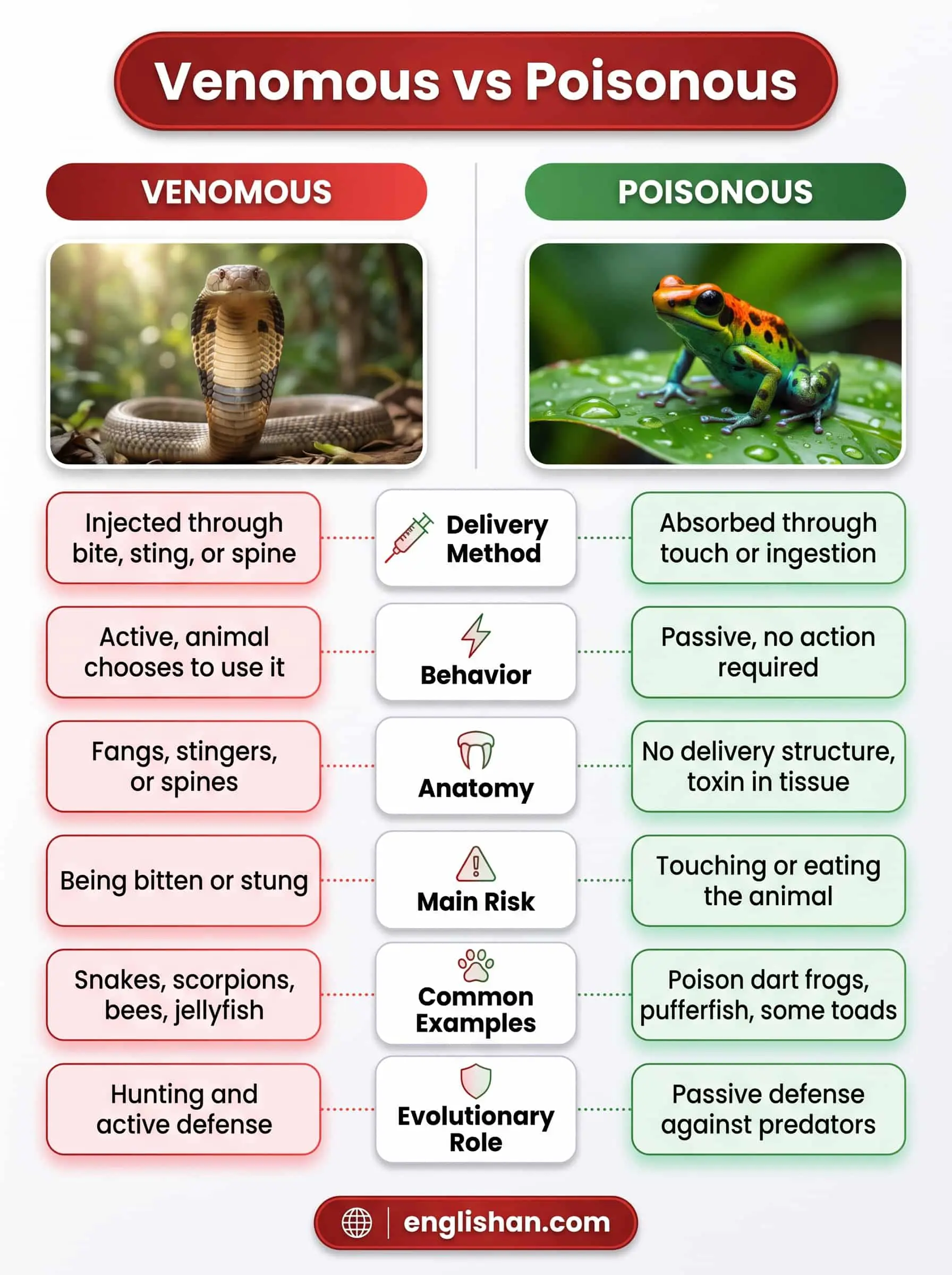 Differences between venomous and poisonous animals using a cobra, poison dart frog, and pufferfish.