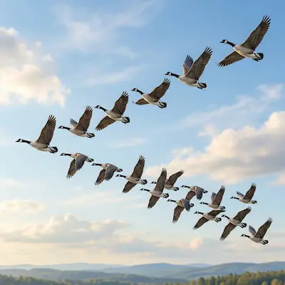 Geese (Flying) — A Skein