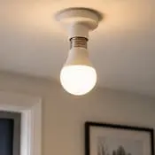 Light bulb