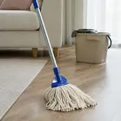 Mop