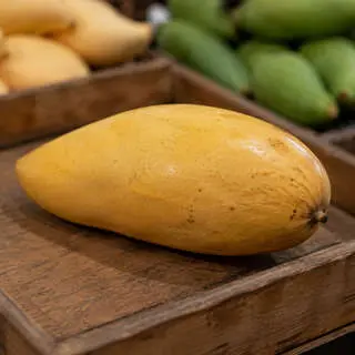 Nam Dok Mai Mango