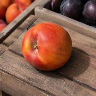 Nectacot