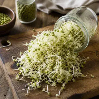 Sprouts