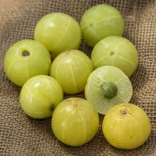Indian Gooseberry