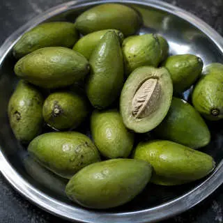 Indian Olive
