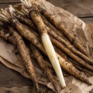 Salsify