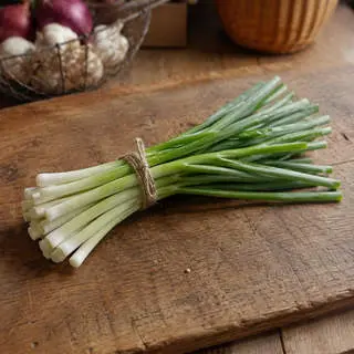 Scallion