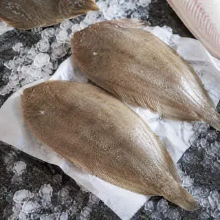 Sole