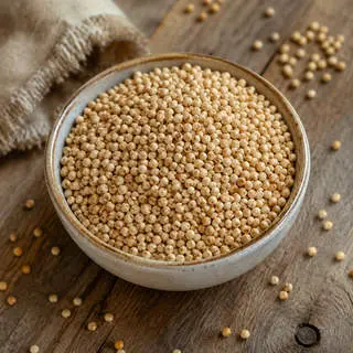 Sorghum