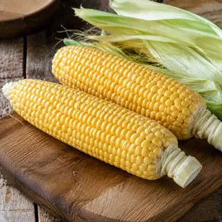 Sweet Corn