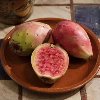 Xoconostle