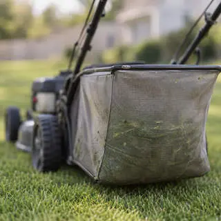 Grass Bag