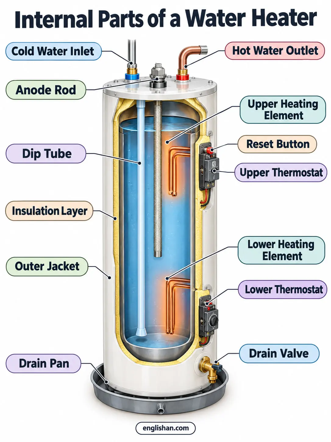 Internal parts of an electric water heater showing the storage tank, dual heating elements, thermostats, anode rod, and dip tube
