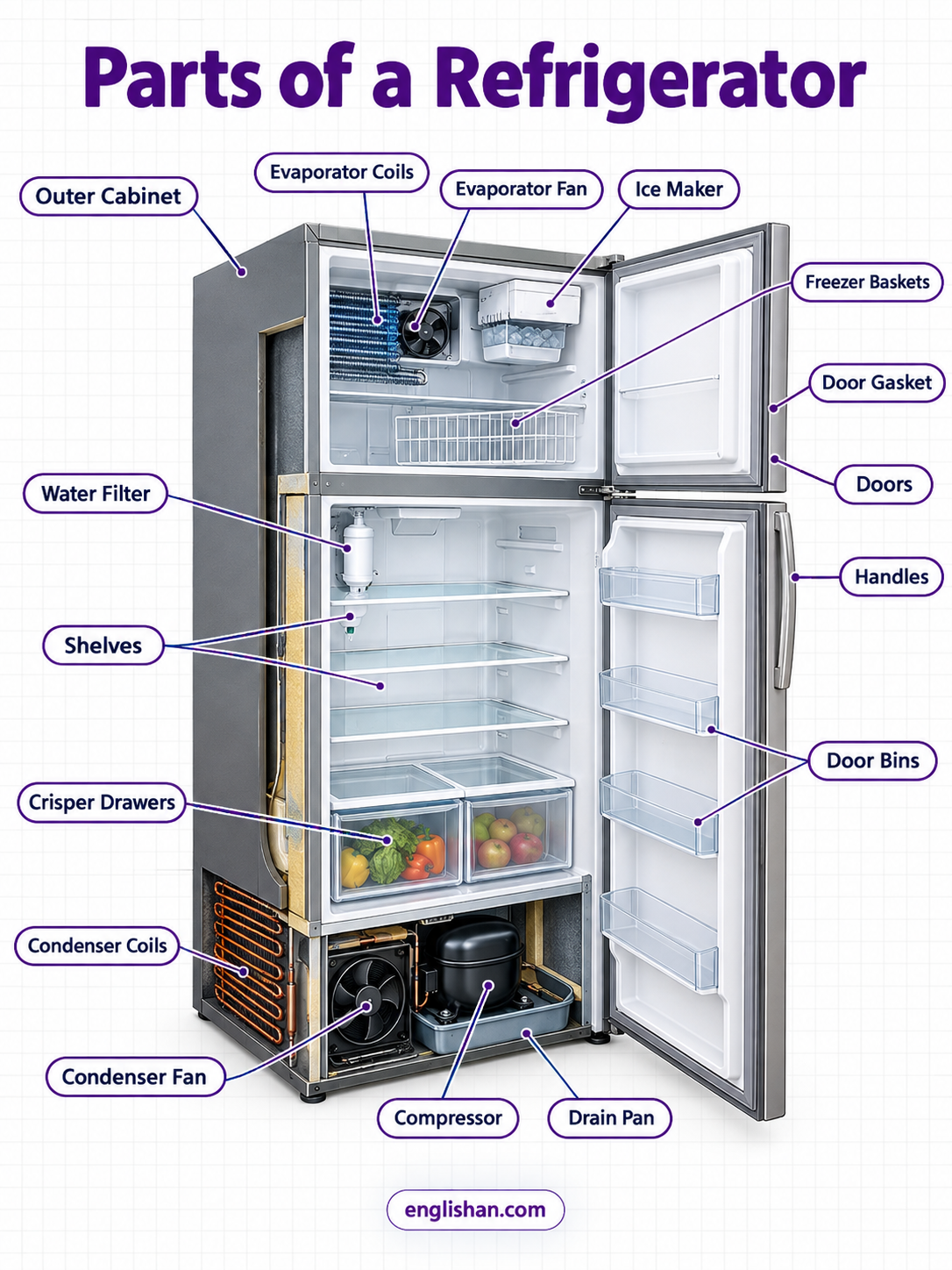 Parts of a refrigerator including the compressor, condenser, evaporator, shelves, crisper drawer, freezer, and door gasket