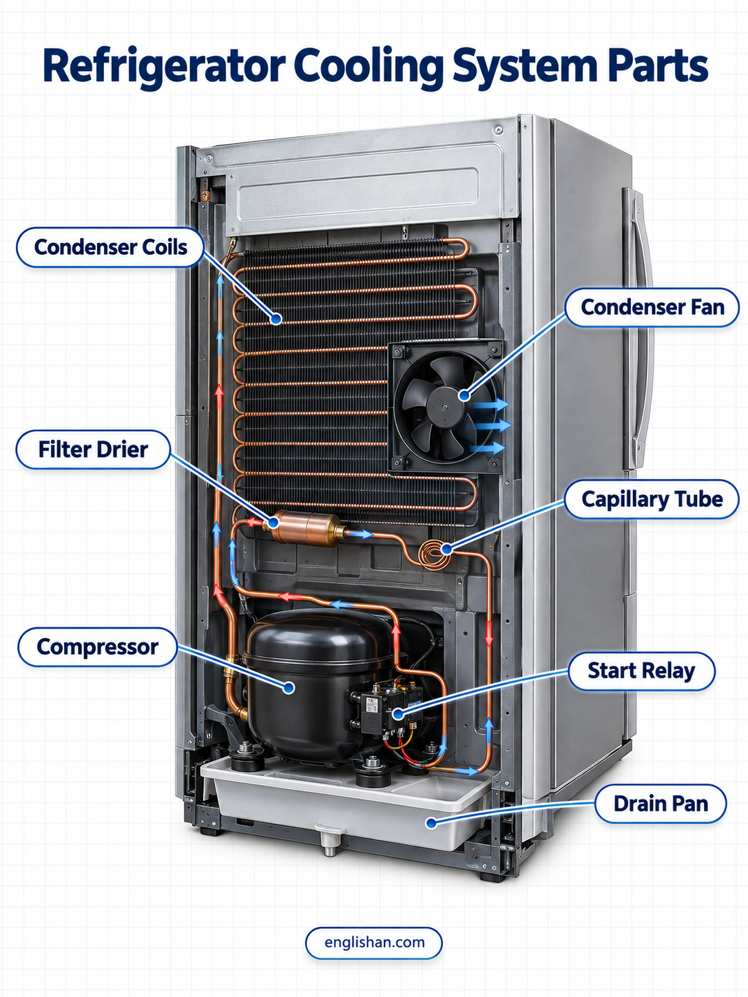 Refrigerator cooling system with compressor, condenser coil, capillary tube, evaporator coil, refrigerant, and fans