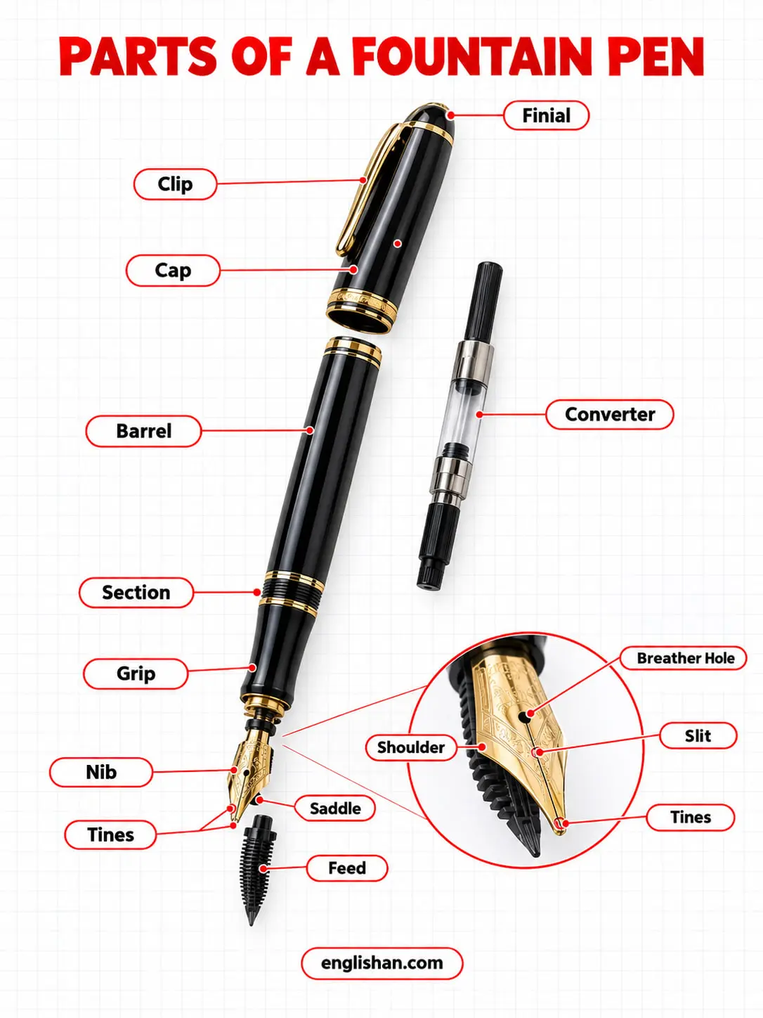 Fountain pen parts showing the cap, clip, barrel, nib, tines, breather hole, feed, grip section, ink converter, and cartridge
