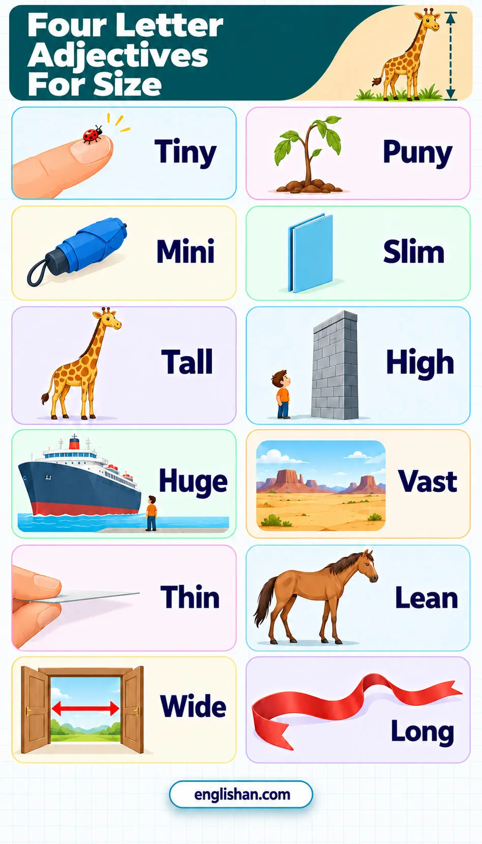 Four letter adjectives for size such as tall, tiny, huge, wide, vast, long, deep, slim, thin, and puny with opposite pairs