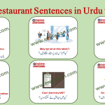 At the Restaurant Sentences in Urdu to English