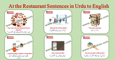 At the Restaurant Sentences in Urdu to English