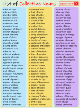 100 Examples of Collective Nouns List • Englishan