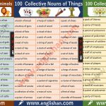 Collective Nouns List PDF