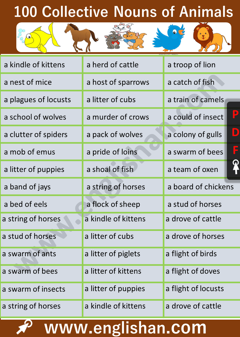 collective noun list animals