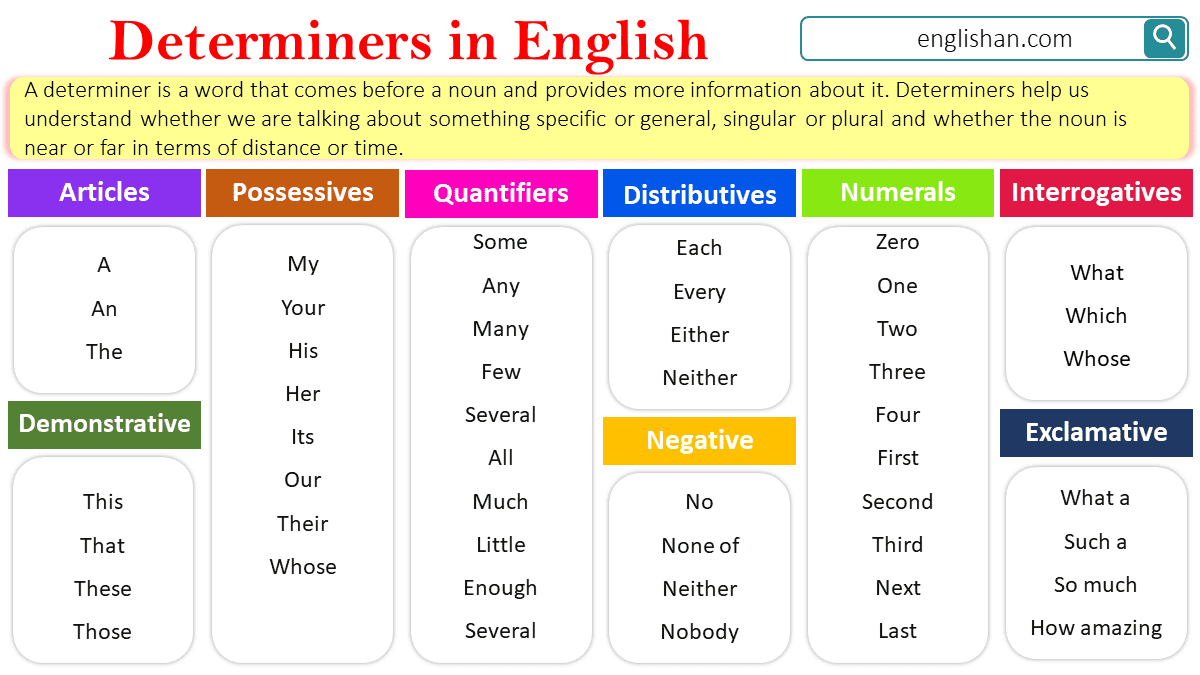 Determiners in English with Types & Examples • Englishan