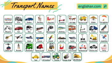 Transport Names Vocabulary in English with Pictures