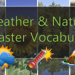 Weather & Natural Disaster Vocabulary Features