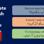 Commonly Used Urdu Sentences With English Free PDF Lesson