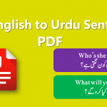 100 English Sentences of Daily Use with Urdu with PDF