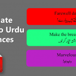 Translate Urdu sentences into English with PDF File