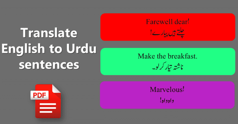 translate-urdu-sentences-into-english-with-pdf-file