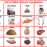 Eid ul Adha Picture Vocabulary