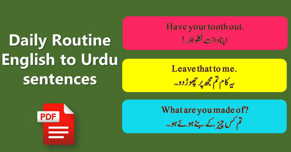 Daily routine English to Urdu sentences with PDF File