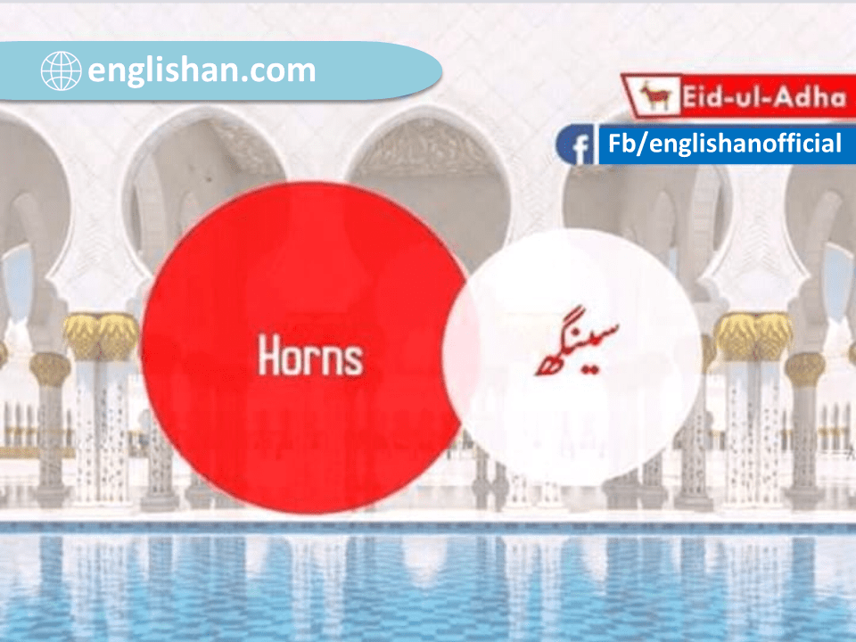 Eid-ul- Adha Vocabulary English to Urdu Free PDF
